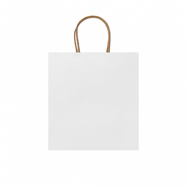 Пакет бумажный HAYA, Белый с логотипом в Москве заказать по выгодной цене в кибермаркете AvroraStore