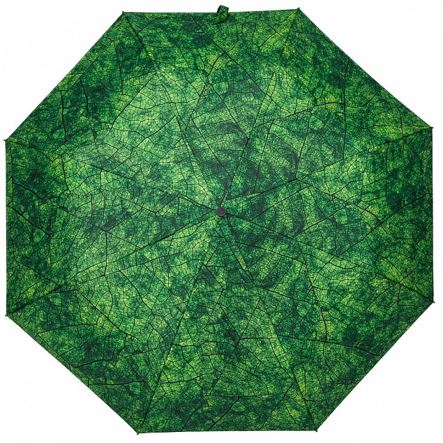 Зонт складной Evergreen с логотипом в Москве заказать по выгодной цене в кибермаркете AvroraStore