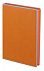 Ежедневник Freenote, недатированный, оранжевый с логотипом в Москве заказать по выгодной цене в кибермаркете AvroraStore