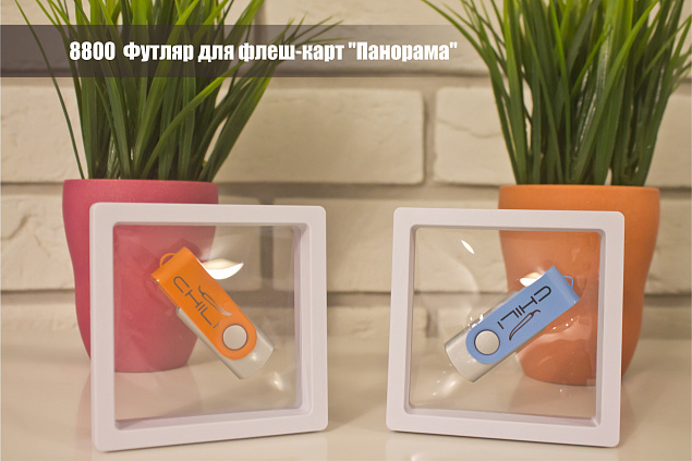 Футляр для флеш-карт "Панорама" с логотипом в Москве заказать по выгодной цене в кибермаркете AvroraStore