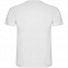 Спортивная футболка MONTECARLO мужская, БЕЛЫЙ XL с логотипом в Москве заказать по выгодной цене в кибермаркете AvroraStore