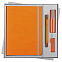 Набор Vivid Maxi, оранжевый с логотипом в Москве заказать по выгодной цене в кибермаркете AvroraStore