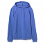Толстовка с капюшоном унисекс Hoodie, ярко-синий меланж с логотипом  заказать по выгодной цене в кибермаркете AvroraStore