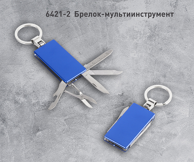Брелок-мультиинструмент, синий с логотипом в Москве заказать по выгодной цене в кибермаркете AvroraStore
