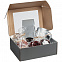 Коробка с окном Visible, серебристая с логотипом в Москве заказать по выгодной цене в кибермаркете AvroraStore