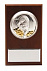 Плакетка малая «Тигр на монетах» с возможностью персонализации с логотипом в Москве заказать по выгодной цене в кибермаркете AvroraStore