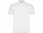 Рубашка поло Austral мужская, белый с логотипом в Москве заказать по выгодной цене в кибермаркете AvroraStore