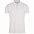 Рубашка поло мужская BRANDY MEN, темно-серая с белым с логотипом в Москве заказать по выгодной цене в кибермаркете AvroraStore