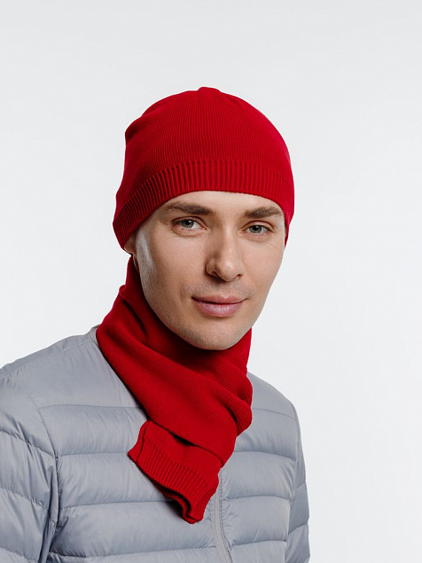 Шарф Siver, красный с логотипом в Москве заказать по выгодной цене в кибермаркете AvroraStore