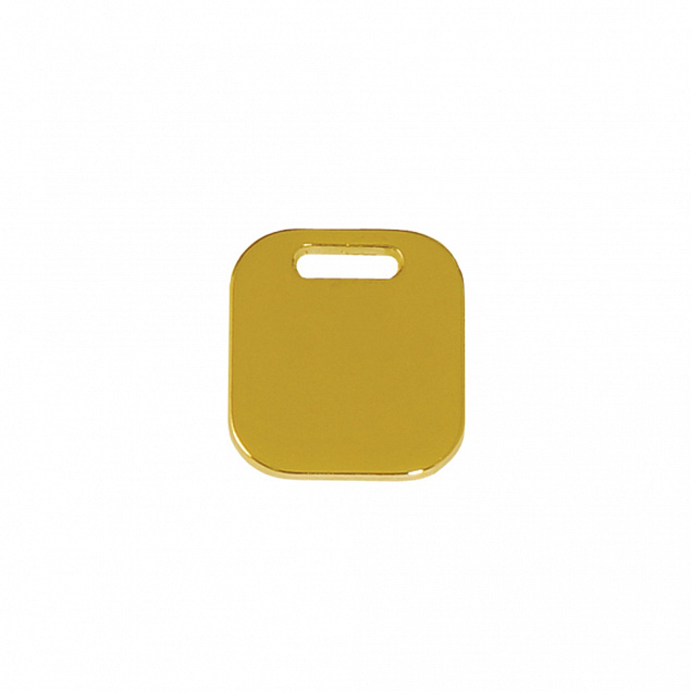 Шильд на ляссе квадрат 17*20*1 мм мет. золотое покрытие с логотипом в Москве заказать по выгодной цене в кибермаркете AvroraStore