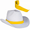 Шляпа BALDWIN с логотипом в Москве заказать по выгодной цене в кибермаркете AvroraStore