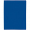 Папка с прижимом Expert, синяя с логотипом  заказать по выгодной цене в кибермаркете AvroraStore