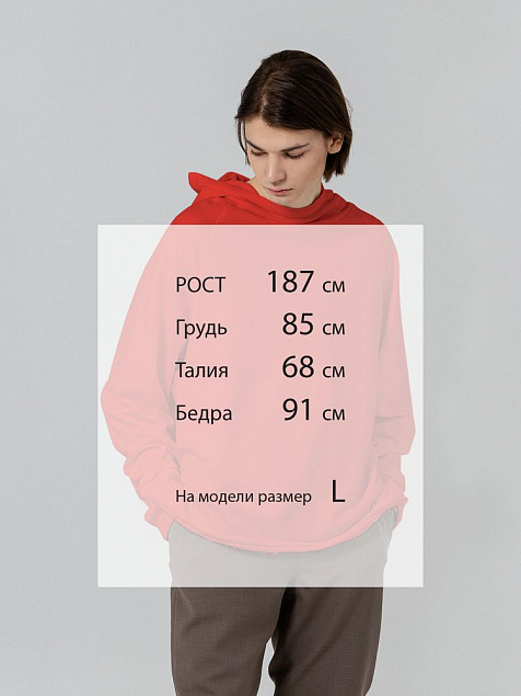 Худи Vozduh, красное с логотипом в Москве заказать по выгодной цене в кибермаркете AvroraStore