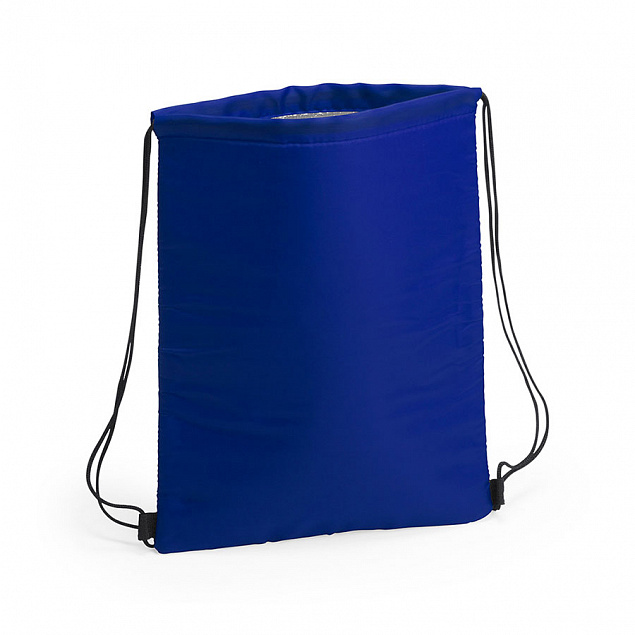 Термосумка NIPEX, синий, полиэстер, алюминивая подкладка, 32 x 42  см с логотипом в Москве заказать по выгодной цене в кибермаркете AvroraStore