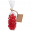 Вишня Cherry Lady с логотипом в Москве заказать по выгодной цене в кибермаркете AvroraStore