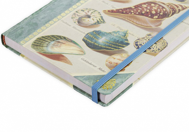 Книга для записей Shells с логотипом в Москве заказать по выгодной цене в кибермаркете AvroraStore