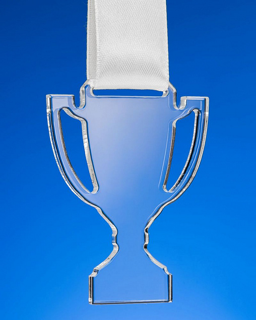 Награда Cup Medal с логотипом в Москве заказать по выгодной цене в кибермаркете AvroraStore