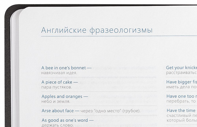 Ежедневник Vivien, недатированный, бирюзовый с логотипом в Москве заказать по выгодной цене в кибермаркете AvroraStore
