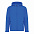 Мужская куртка Iqoniq Makalu из переработанного полиэстера AWARE™, 300 г/м² с логотипом в Москве заказать по выгодной цене в кибермаркете AvroraStore