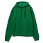 Толстовка с капюшоном SLAM 320, ярко-зеленая с логотипом  заказать по выгодной цене в кибермаркете AvroraStore