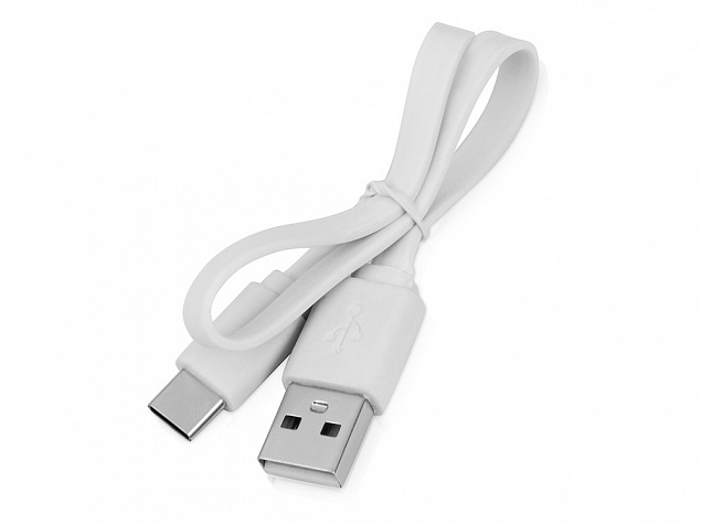 Кабель USB 2.0 A - USB Type-C с логотипом в Москве заказать по выгодной цене в кибермаркете AvroraStore