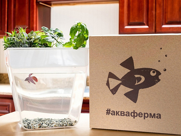 Набор для выращивания растений и ухода за рыбкой Акваферма с логотипом в Москве заказать по выгодной цене в кибермаркете AvroraStore