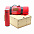 Подарочный набор Айзек, красный с логотипом в Москве заказать по выгодной цене в кибермаркете AvroraStore