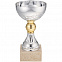 Кубок Grail, серебристый с логотипом в Москве заказать по выгодной цене в кибермаркете AvroraStore