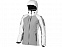 Куртка "Ozark" женская с логотипом в Москве заказать по выгодной цене в кибермаркете AvroraStore