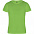 Спортивная футболка CAMIMERA мужская, ПАПАРОТНИКОВЫЙ XL с логотипом в Москве заказать по выгодной цене в кибермаркете AvroraStore
