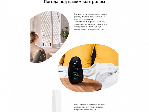 Метеостанция StoneCast 1 WTS с логотипом в Москве заказать по выгодной цене в кибермаркете AvroraStore