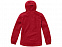 Куртка Labrador мужская, красный с логотипом в Москве заказать по выгодной цене в кибермаркете AvroraStore
