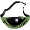 Поясная сумка Kalita, зеленая с логотипом в Москве заказать по выгодной цене в кибермаркете AvroraStore