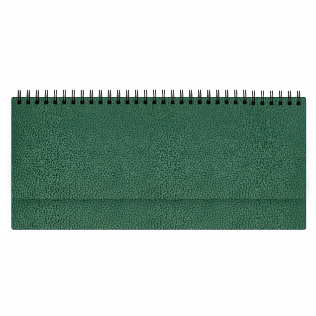 Планинг Dallas, датированный (2020 г.), зеленый с логотипом в Москве заказать по выгодной цене в кибермаркете AvroraStore
