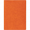 Ежедневник в суперобложке Brave Book, недатированный, оранжевый с логотипом в Москве заказать по выгодной цене в кибермаркете AvroraStore