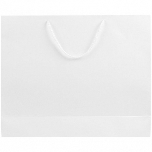 Пакет бумажный «Блеск», большой, белый с логотипом в Москве заказать по выгодной цене в кибермаркете AvroraStore