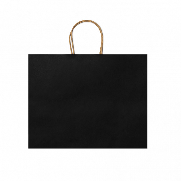 Пакет бумажный MAPLE, Черный с логотипом  заказать по выгодной цене в кибермаркете AvroraStore