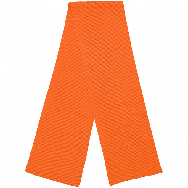 Шарф Life Explorer, оранжевый с логотипом  заказать по выгодной цене в кибермаркете AvroraStore