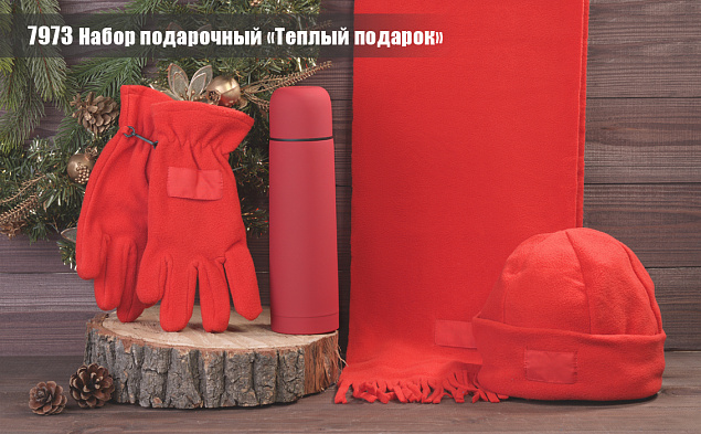Набор подарочный "Теплый подарок" с логотипом в Москве заказать по выгодной цене в кибермаркете AvroraStore