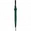 Зонт-трость Dublin, зеленый с логотипом в Москве заказать по выгодной цене в кибермаркете AvroraStore