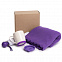 Набор подарочный SPRING WIND: плед, складной зонт, кружка с крышкой, коробка, фиолетовый с логотипом  заказать по выгодной цене в кибермаркете AvroraStore