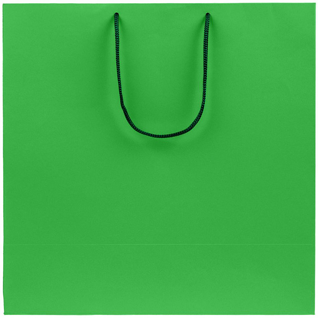Пакет бумажный Porta, большой, зеленый с логотипом в Москве заказать по выгодной цене в кибермаркете AvroraStore