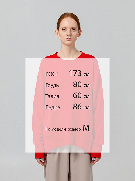 Свитшот Kosmos, красный с логотипом в Москве заказать по выгодной цене в кибермаркете AvroraStore