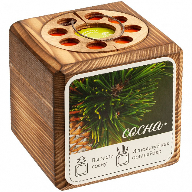 Набор для выращивания с органайзером «Экокуб Burn», сосна с логотипом в Москве заказать по выгодной цене в кибермаркете AvroraStore
