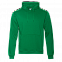 Толстовка Толстовка 20 Зелёный с логотипом в Москве заказать по выгодной цене в кибермаркете AvroraStore