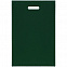 Чехол для пропуска Shall, зеленый с логотипом в Москве заказать по выгодной цене в кибермаркете AvroraStore
