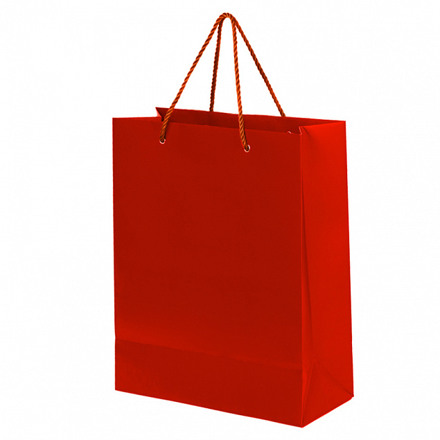 Пакет подарочный BIG GLAM с логотипом  заказать по выгодной цене в кибермаркете AvroraStore