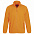 Куртка мужская North, оранжевый неон с логотипом в Москве заказать по выгодной цене в кибермаркете AvroraStore