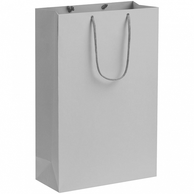 Пакет бумажный Porta, средний, серый с логотипом в Москве заказать по выгодной цене в кибермаркете AvroraStore