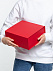 Коробка Amaze, красная с логотипом в Москве заказать по выгодной цене в кибермаркете AvroraStore
